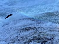 Wow so hoch  &ndash; &copy; Elisabeth Fox-Maerki (Eberhardt TRAVEL)