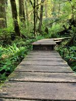 Der Weg ist das Ziel &ndash; &copy; Elisabeth Fox-Maerki (Eberhardt TRAVEL)