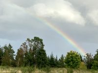 Und es scheint die Sonne wieder &ndash; &copy; Elisabeth Fox-Maerki (Eberhardt TRAVEL)