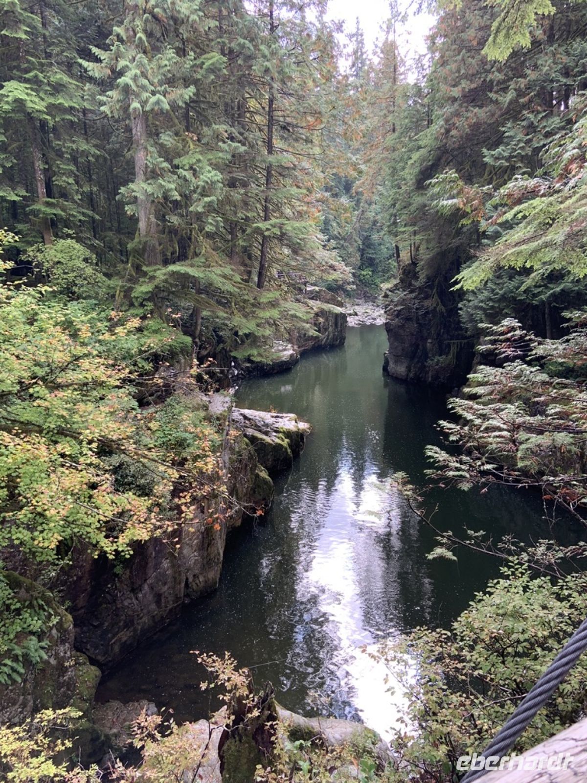 Spaziergang im Regenwald bei Vancouver.jpeg &ndash; &copy; Birgit Kirchner (Eberhardt TRAVEL)