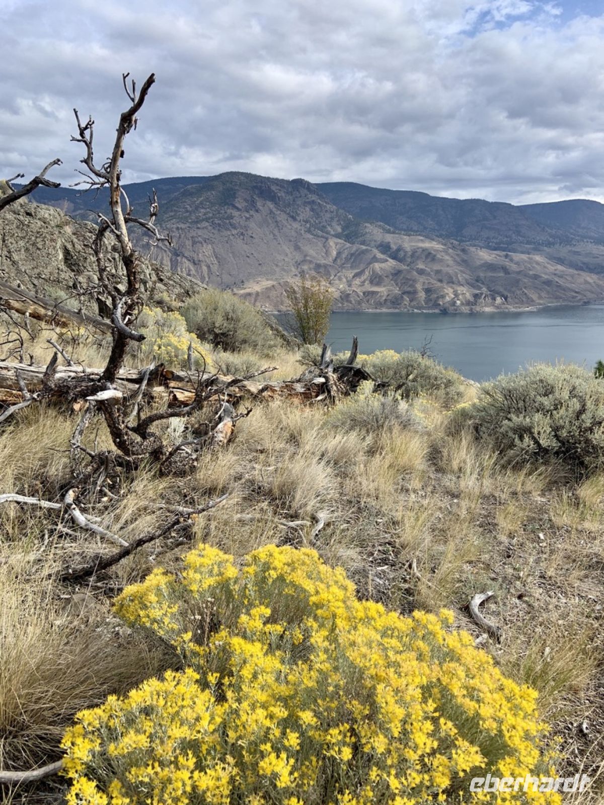 Kamloop Lake.jpeg &ndash; &copy; Birgit Kirchner (Eberhardt TRAVEL)