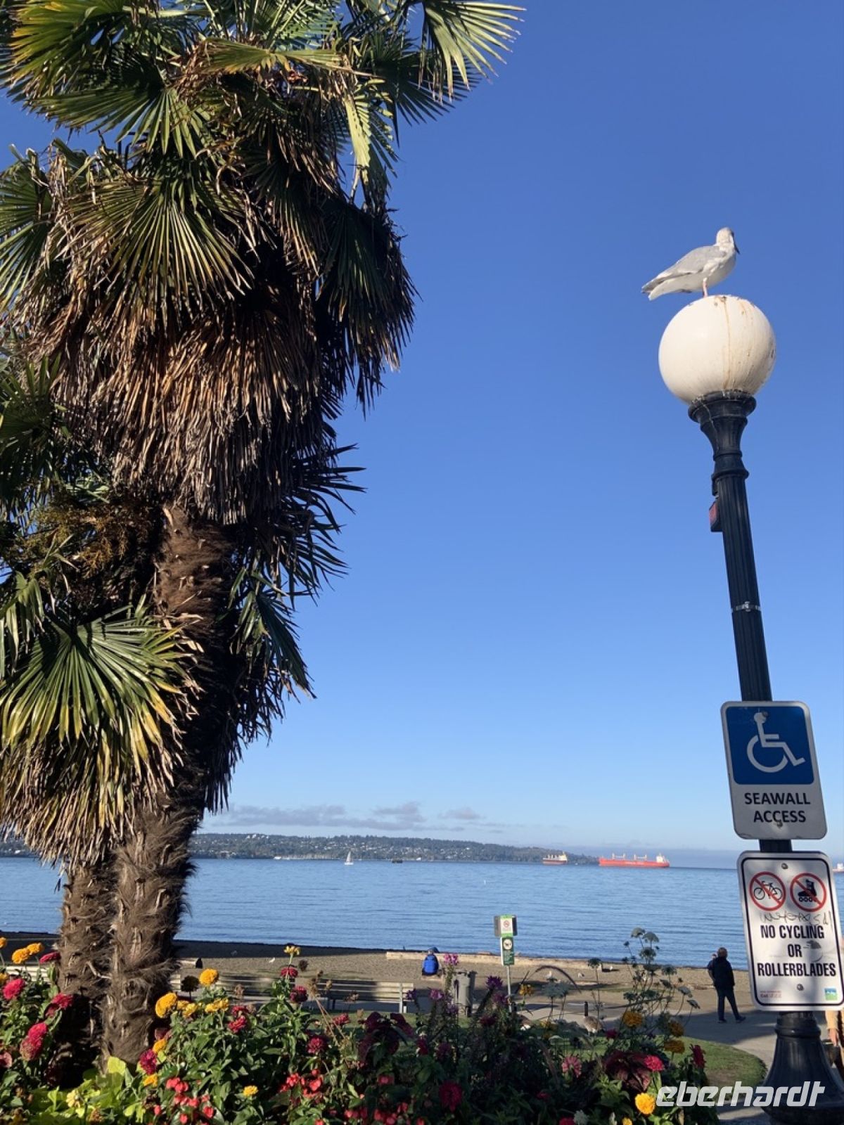 Vancouver English Bay.jpeg &ndash; &copy; Birgit Kirchner (Eberhardt TRAVEL)