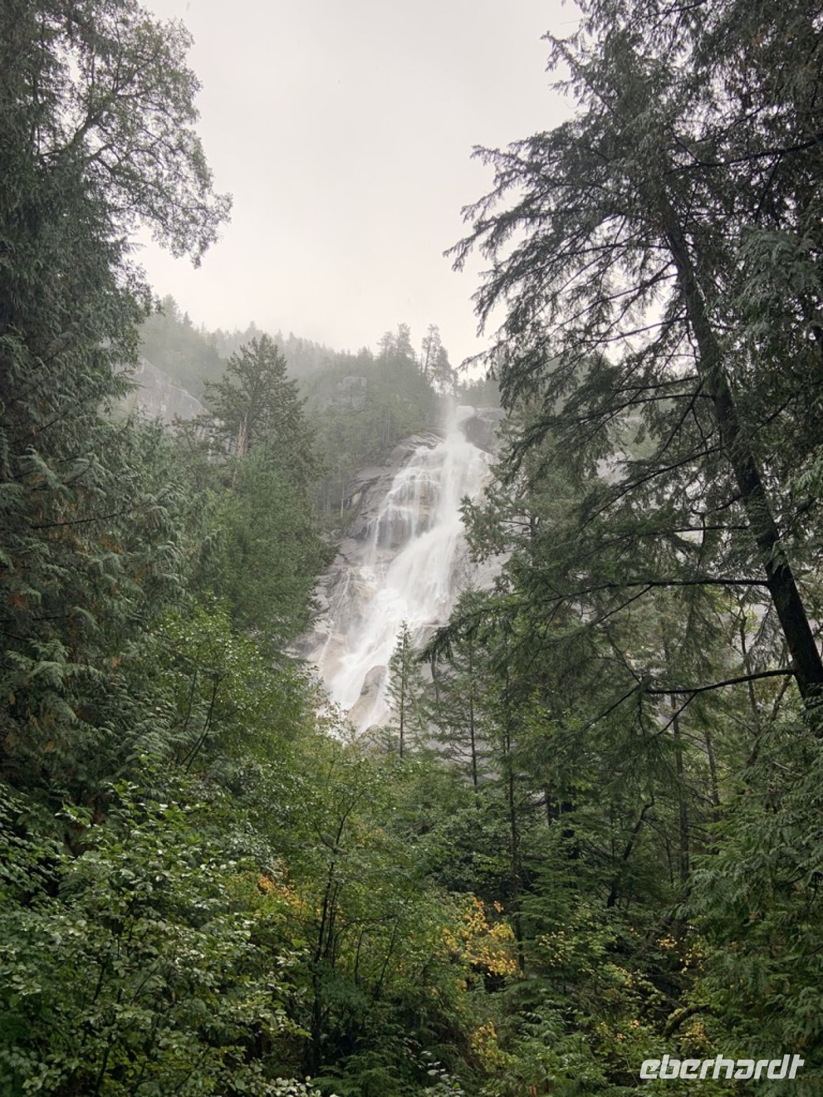 Shannon falls-  auf dem Weg nach Vancouver.jpeg &ndash; &copy; Birgit Kirchner (Eberhardt TRAVEL)
