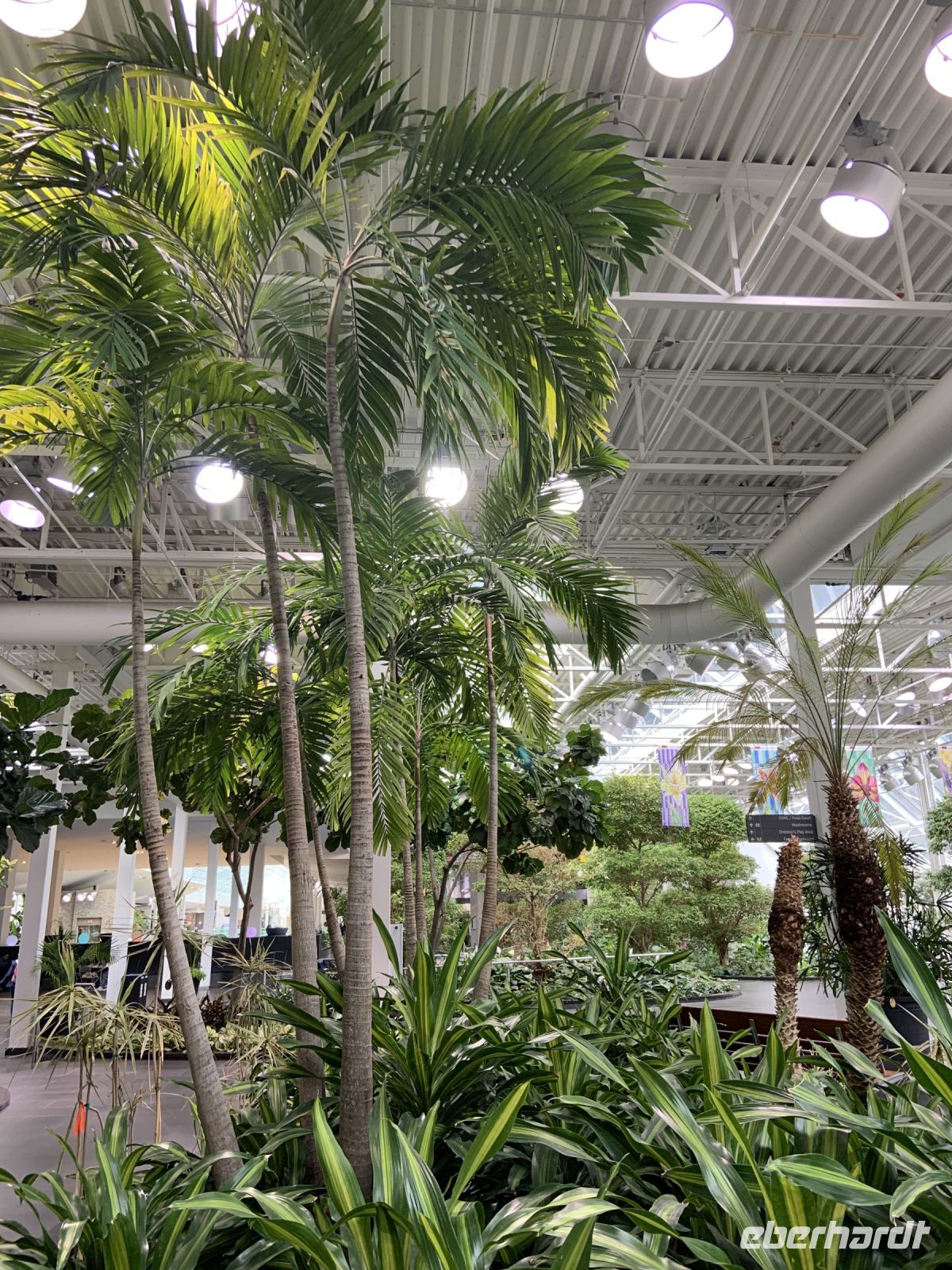 Devonian Garden.JPG &ndash; &copy; Birgit Kirchner (Eberhardt TRAVEL)