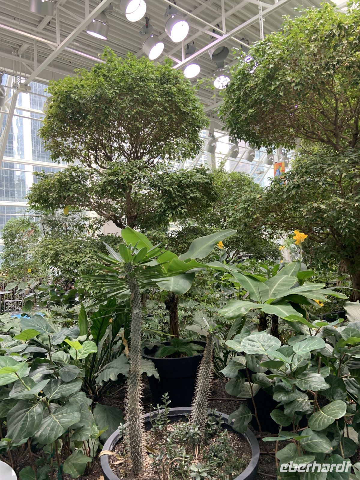 Devonian Gardens.JPG &ndash; &copy; Birgit Kirchner (Eberhardt TRAVEL)