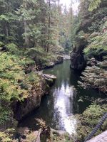 Spaziergang im Regenwald bei Vancouver.jpeg &ndash; &copy; Birgit Kirchner (Eberhardt TRAVEL)