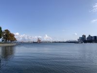 Vancouver - im Stanley Park .jpeg &ndash; &copy; Birgit Kirchner (Eberhardt TRAVEL)