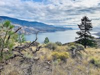 Idylle am Kamloops Lake.jpeg &ndash; &copy; Birgit Kirchner (Eberhardt TRAVEL)