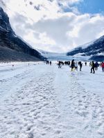 auf dem Atabasca-Gletscher.jpeg &ndash; &copy; Birgit Kirchner (Eberhardt TRAVEL)