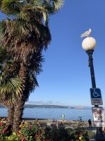 Vancouver English Bay.jpeg &ndash; &copy; Birgit Kirchner (Eberhardt TRAVEL)