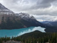 Peyto Lake.jpeg &ndash; &copy; Birgit Kirchner (Eberhardt TRAVEL)