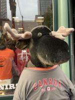welcome to Canada.JPG &ndash; &copy; Birgit Kirchner (Eberhardt TRAVEL)
