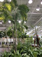 Devonian Garden.JPG &ndash; &copy; Birgit Kirchner (Eberhardt TRAVEL)