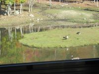 Parc Omega &ndash; &copy; Marieta Beck (Eberhardt TRAVEL)