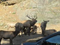 Parc Omega &ndash; &copy; Marieta Beck (Eberhardt TRAVEL)