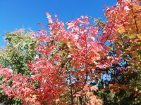 So fühlt sich Indian Summer an &ndash; &copy; Marieta Beck (Eberhardt TRAVEL)