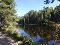 Spruce Bog Boardwalk  &ndash; &copy; Marieta Beck (Eberhardt TRAVEL)