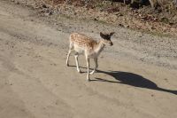 Omega Park Wildgehege &ndash; &copy; Georg Berger (Eberhardt TRAVEL)