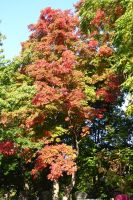 Ottawa Impressionen &ndash; &copy; Georg Berger (Eberhardt TRAVEL)