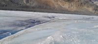 Athabasca Gletscher