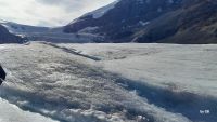 Athabasca Gletscher
