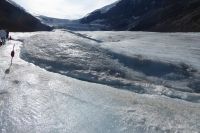 Atabasca Gletscher