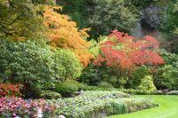 Butchards Garden