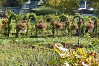 Butchards Garden &ndash; &copy; Georg Berger (Eberhardt TRAVEL)