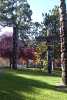Victoria City Totems &ndash; &copy; Georg Berger (Eberhardt TRAVEL)