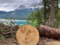 Hi Hi  bei Emerald Lake &ndash; &copy; Elisabeth Fox-Maerki (Eberhardt TRAVEL)