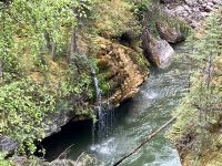 Die Dusche