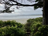 Das Ende von Long Beach  &ndash; &copy; Elisabeth Fox-Maerki (Eberhardt TRAVEL)