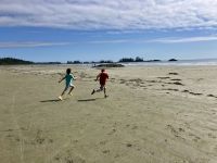Chesterman Beach &ndash; &copy; Elisabeth Fox-Maerki (Eberhardt TRAVEL)