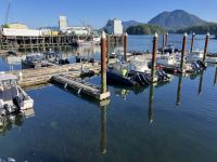 Morgends in Tofino &ndash; &copy; Elisabeth Fox-Maerki (Eberhardt TRAVEL)