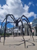 Ottawa City (36) &ndash; &copy; Marcus Hasselhorst (Eberhardt TRAVEL)