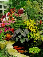 Blumenmeer Buchart (3) &ndash; &copy; Marcus Hasselhorst (Eberhardt TRAVEL)