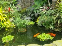 Buchards Garden (4) &ndash; &copy; Marcus Hasselhorst (Eberhardt TRAVEL)