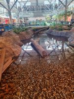 Vancouver Airport (2) &ndash; &copy; Marcus Hasselhorst (Eberhardt TRAVEL)