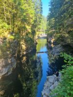 Capilano Regenwald (3) &ndash; &copy; Marcus Hasselhorst (Eberhardt TRAVEL)