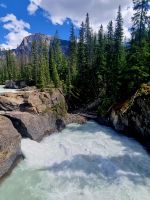 Natural Bridge (1) &ndash; &copy; Marcus Hasselhorst (Eberhardt TRAVEL)