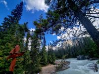 Natural Bridge (11) &ndash; &copy; Marcus Hasselhorst (Eberhardt TRAVEL)