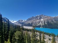 Peyto Lake noch blauer (3) &ndash; &copy; Marcus Hasselhorst (Eberhardt TRAVEL)