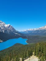 Peyto Lake noch blauer (5) &ndash; &copy; Marcus Hasselhorst (Eberhardt TRAVEL)