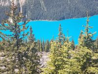 Peyto Lake noch blauer (6) &ndash; &copy; Marcus Hasselhorst (Eberhardt TRAVEL)