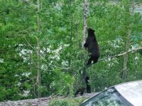 Wundervolle tierische Begegnung (7) &ndash; &copy; Marcus Hasselhorst (Eberhardt TRAVEL)