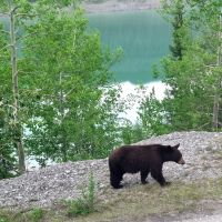 Wundervolle tierische Begegnung (15) &ndash; &copy; Marcus Hasselhorst (Eberhardt TRAVEL)