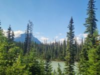Impressionen aus den Rockies (282) &ndash; &copy; Marcus Hasselhorst (Eberhardt TRAVEL)