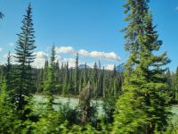 Impressionen aus den Rockies (284) &ndash; &copy; Marcus Hasselhorst (Eberhardt TRAVEL)