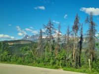 Impressionen aus den Rockies (293) &ndash; &copy; Marcus Hasselhorst (Eberhardt TRAVEL)