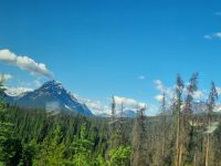 Impressionen aus den Rockies (300) &ndash; &copy; Marcus Hasselhorst (Eberhardt TRAVEL)